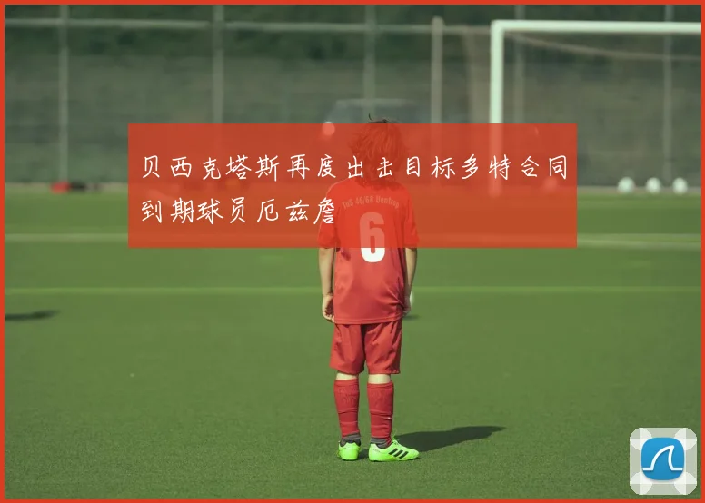 贝西克塔斯再度出击目标多特合同到期球员厄兹詹